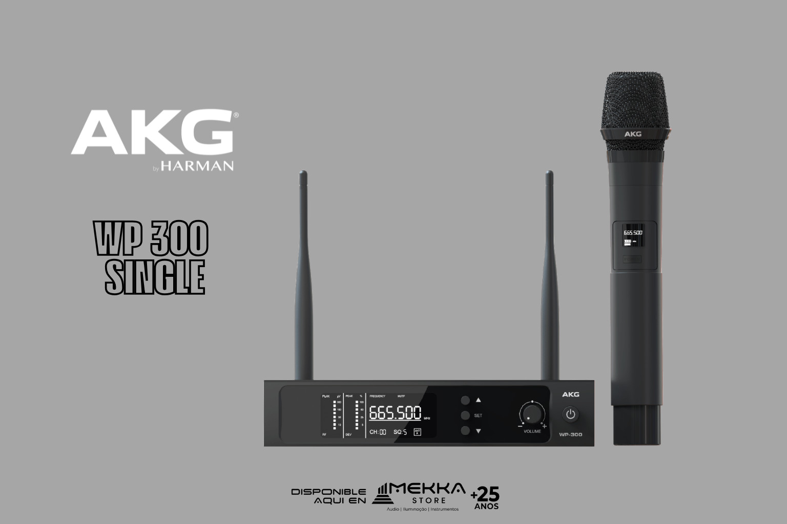 AKG WP300 SINGLE