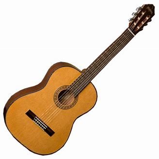 WASHBURN C40 — foto 1