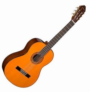 Washburn C5 WSH