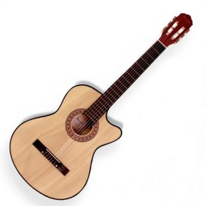 Guitarra Classica Vizcaya CGP-WN