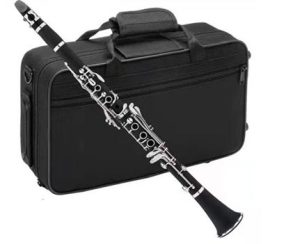 Clarinete Kaysen GSW-09 17C